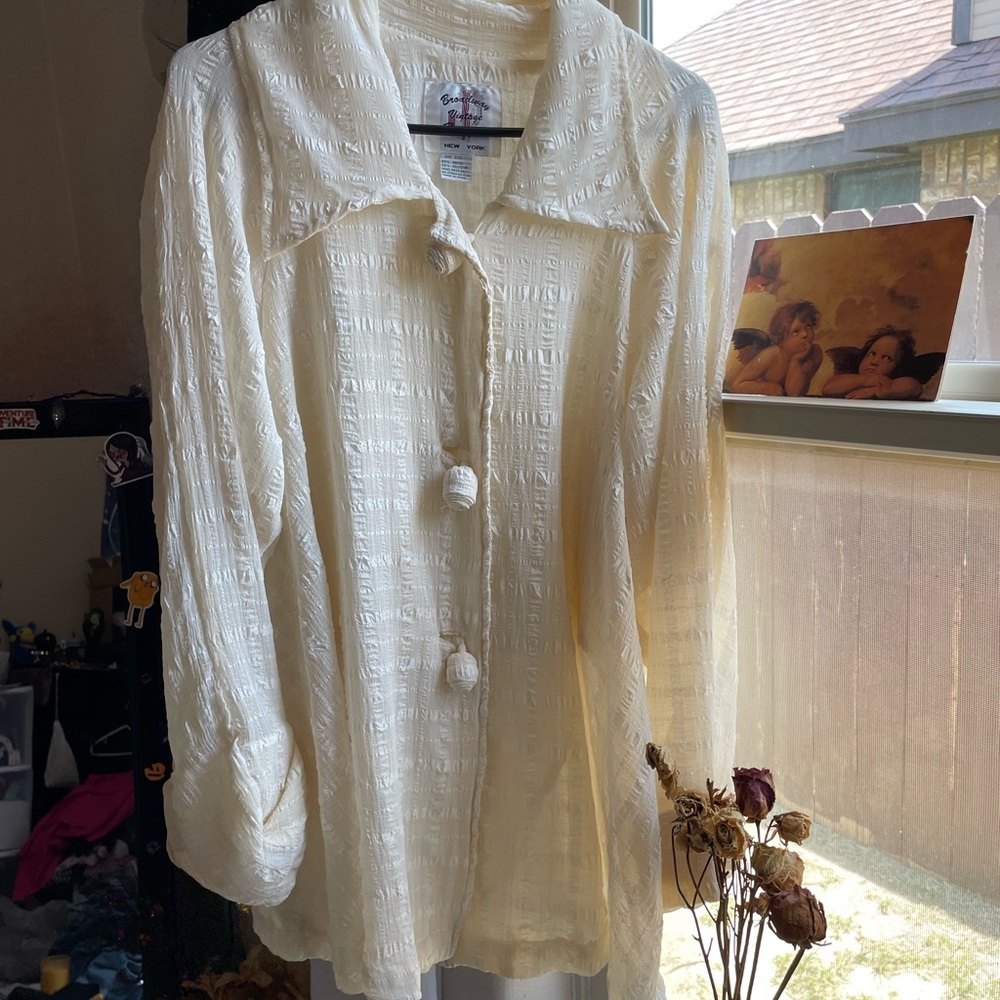 Vintage oversized Fall autumn sheer beige button down top